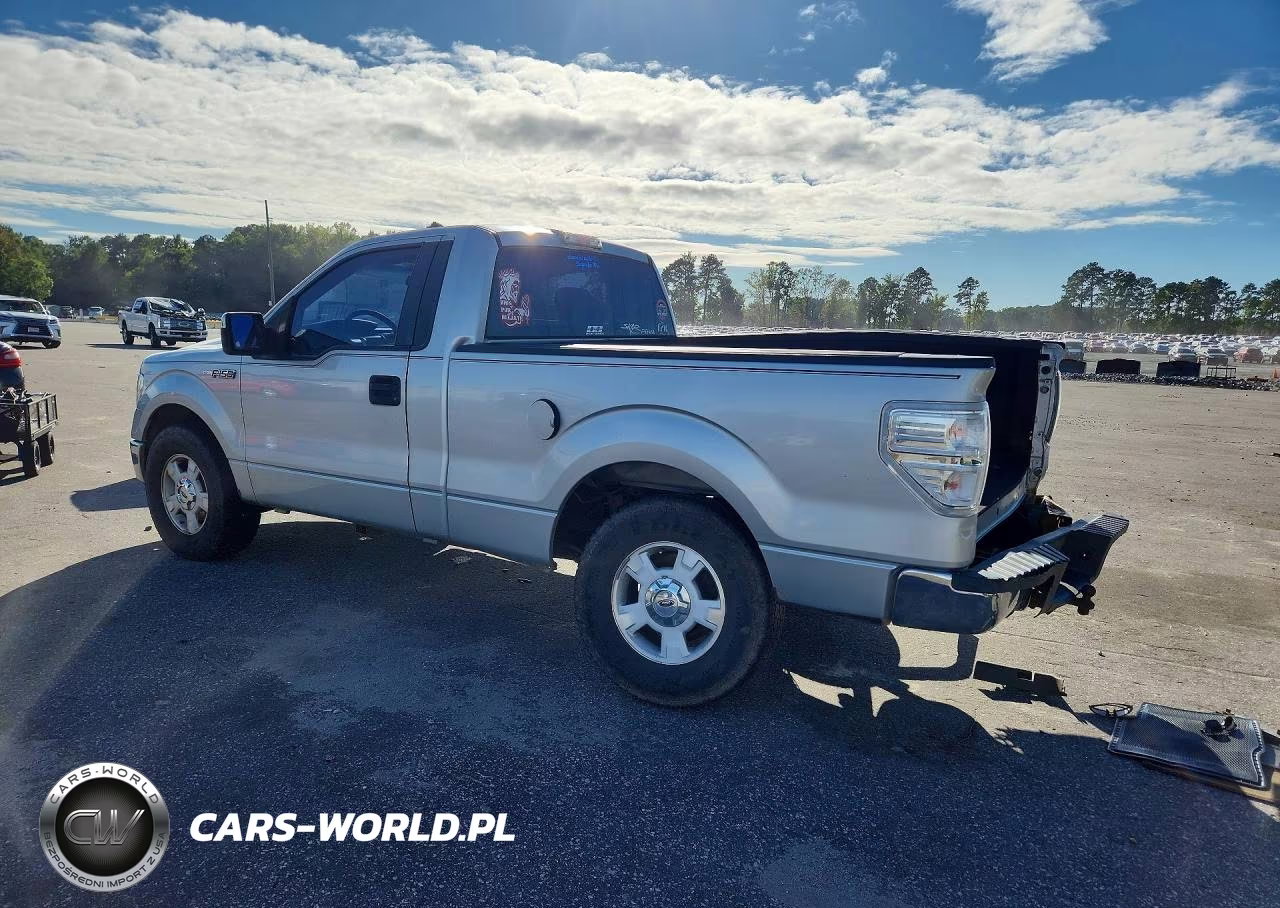 2009 Ford F150 VIN:1FTRF12W39KC51805 - 2
