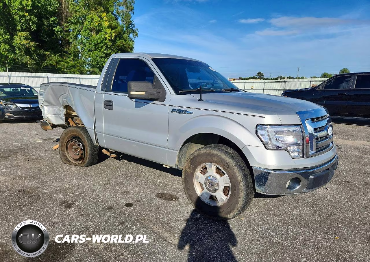 2009 Ford F150 VIN:1FTRF12W39KC51805 - 4