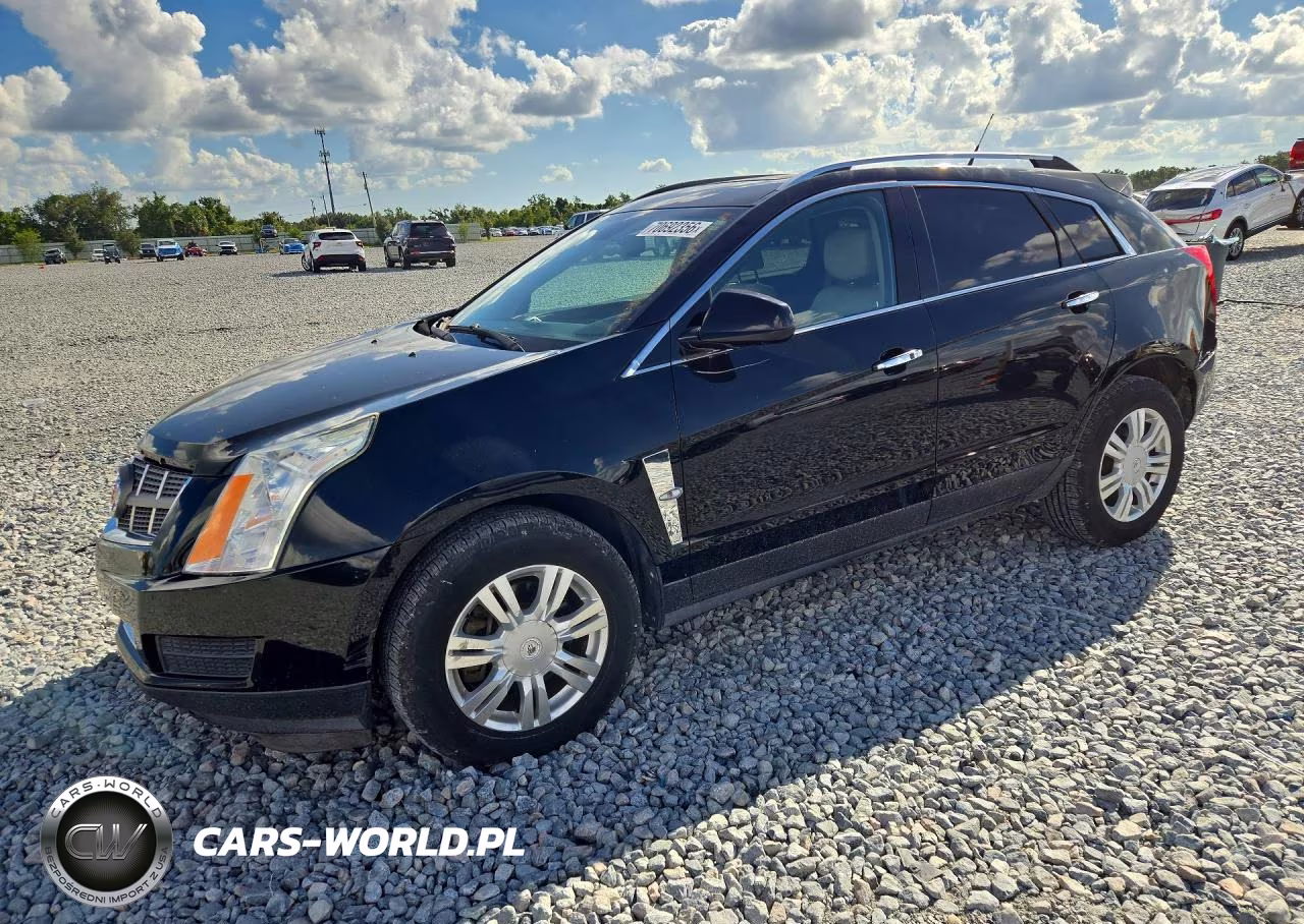 2012 Cadillac Srx Luxury Collection VIN:3GYFNAE39CS618817 - 1