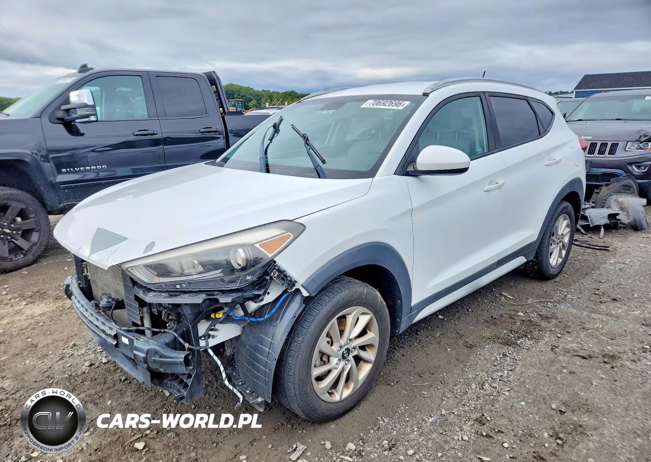 2017 Hyundai Tucson Se VIN:KM8J3CA43HU423864 - 1