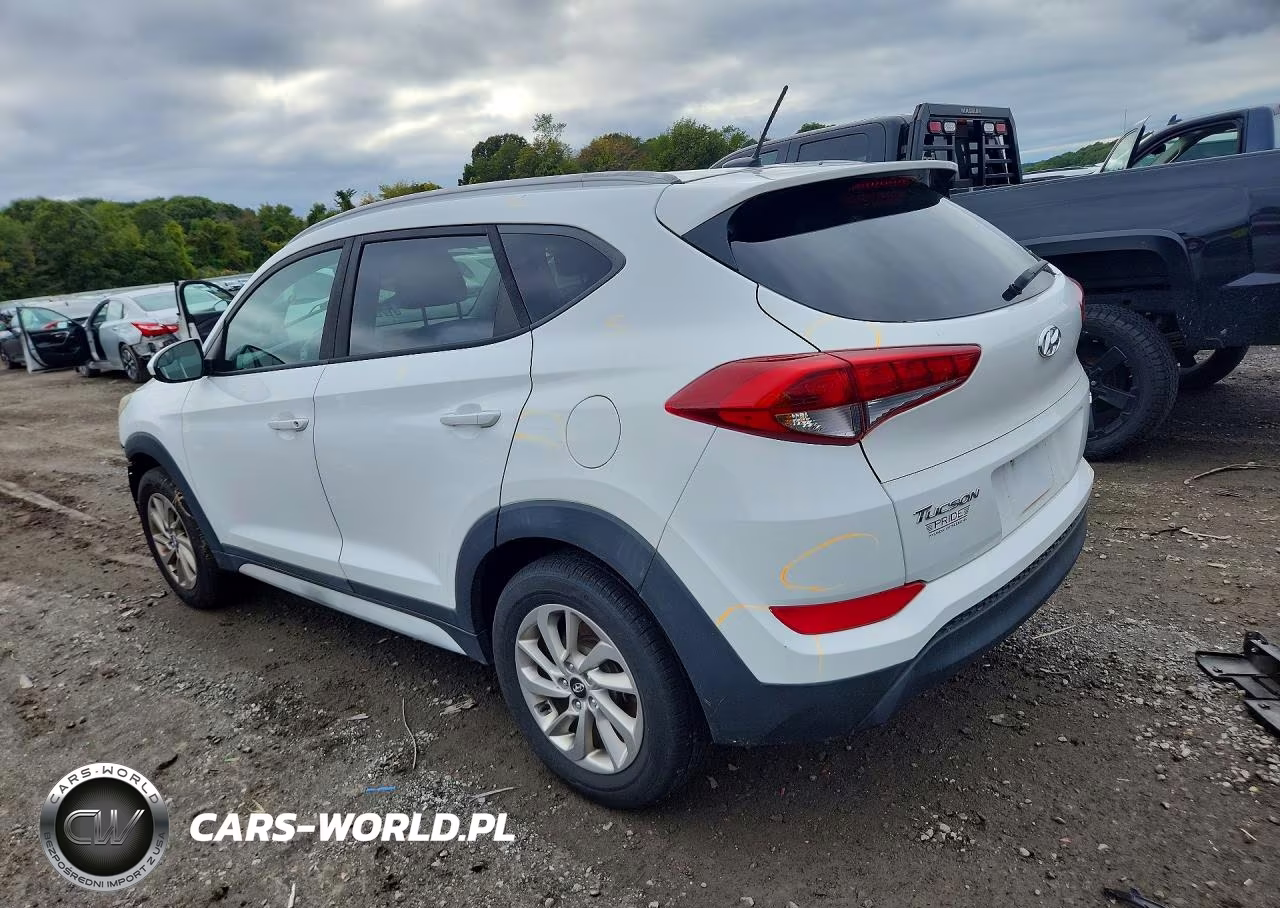 2017 Hyundai Tucson Se VIN:KM8J3CA43HU423864 - 2
