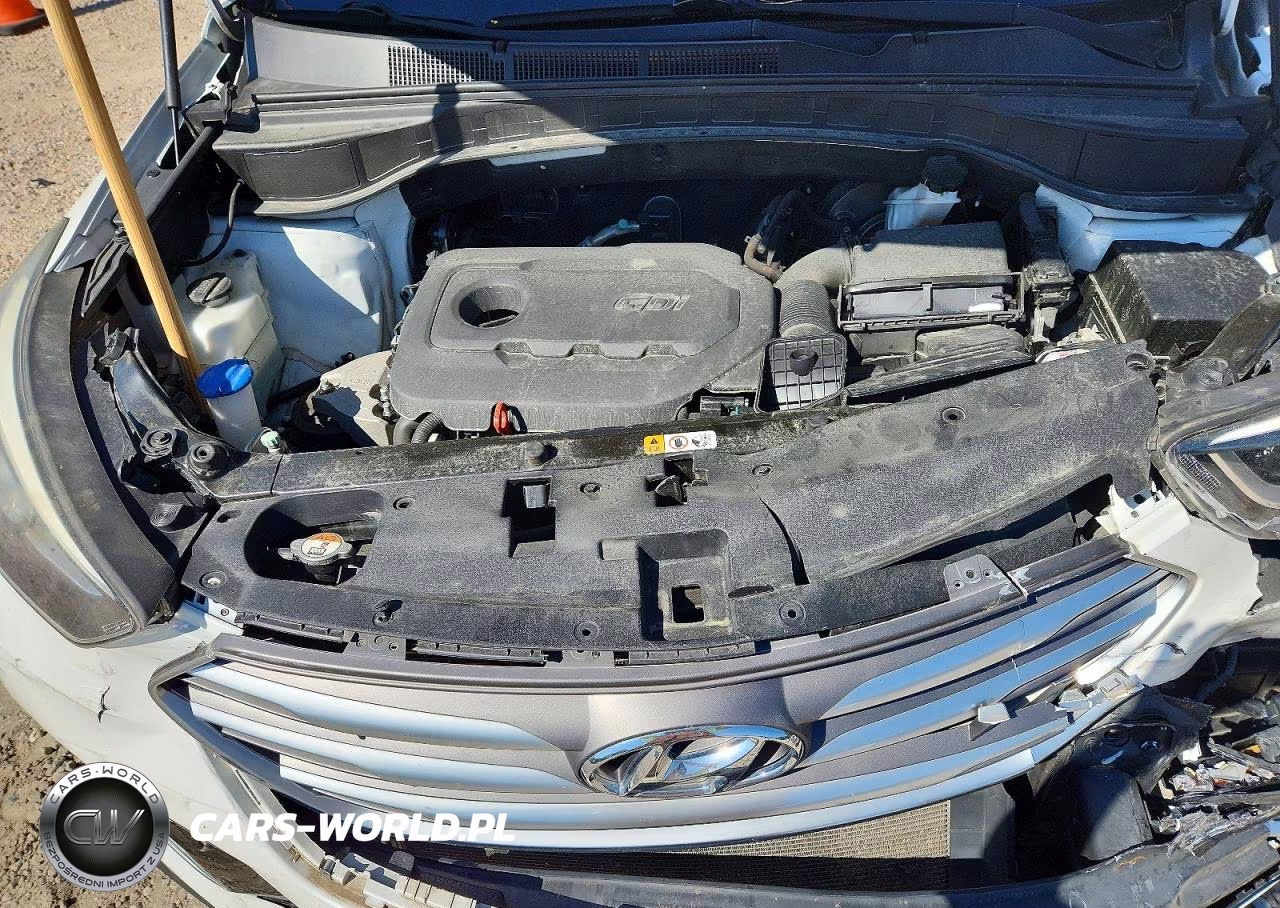 2018 Hyundai Santa Fe Sport 2.4L VIN:5XYZU3LB6JG554858 - 12