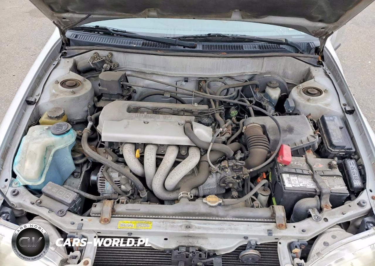 1999 Toyota Corolla Ve VIN:2T1BR12E7XC219373 - 11