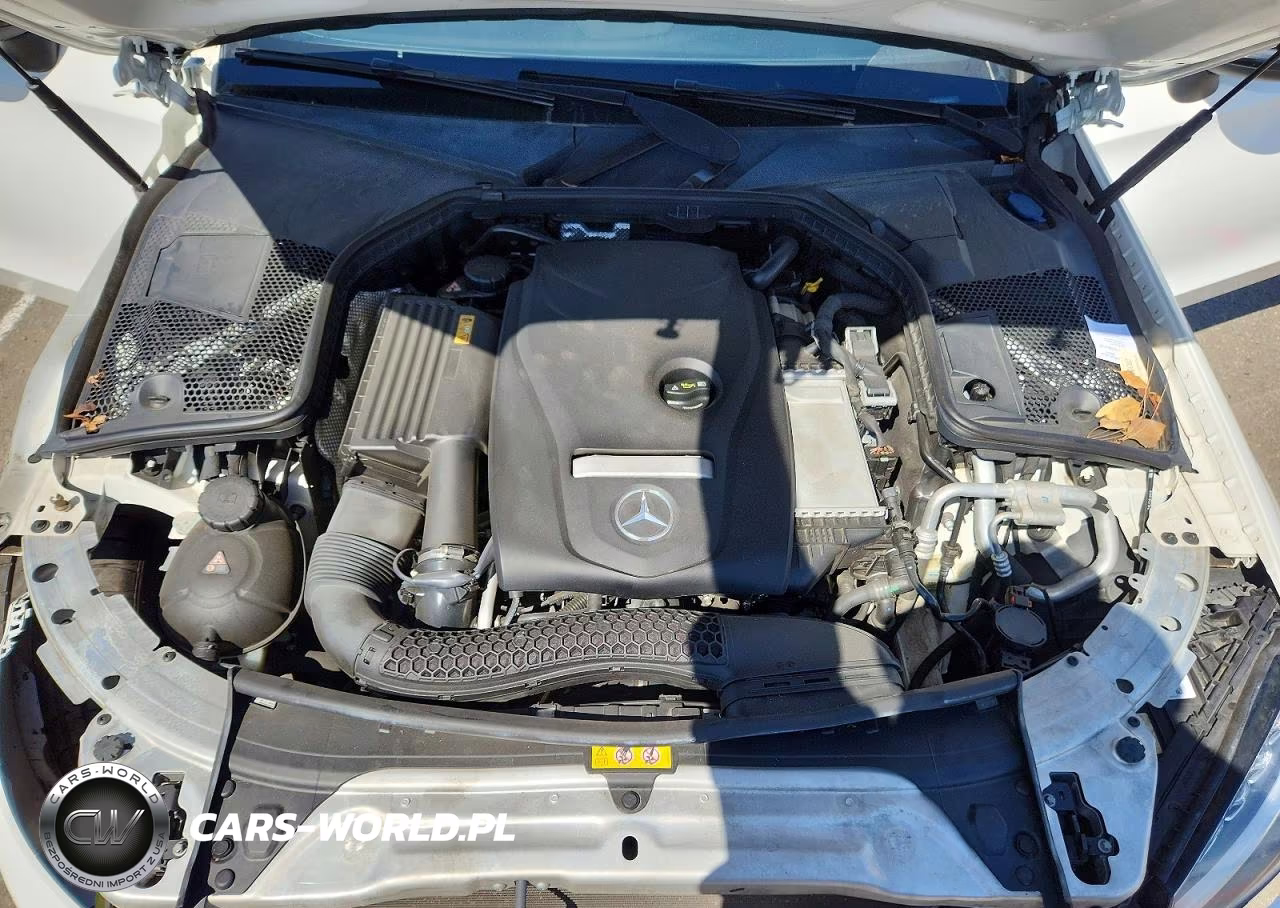 2017 Mercedes-Benz C 300 VIN:WDDWK4JB5HF424011 - 11