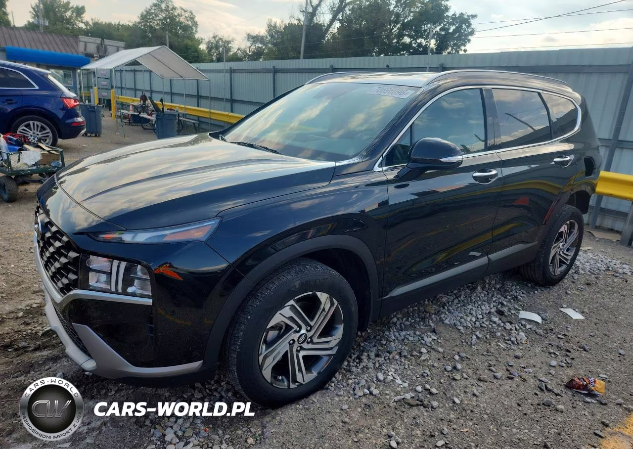 2023 Hyundai Santa Fe Sel VIN:5NMS2DAJ9PH534738 - 1