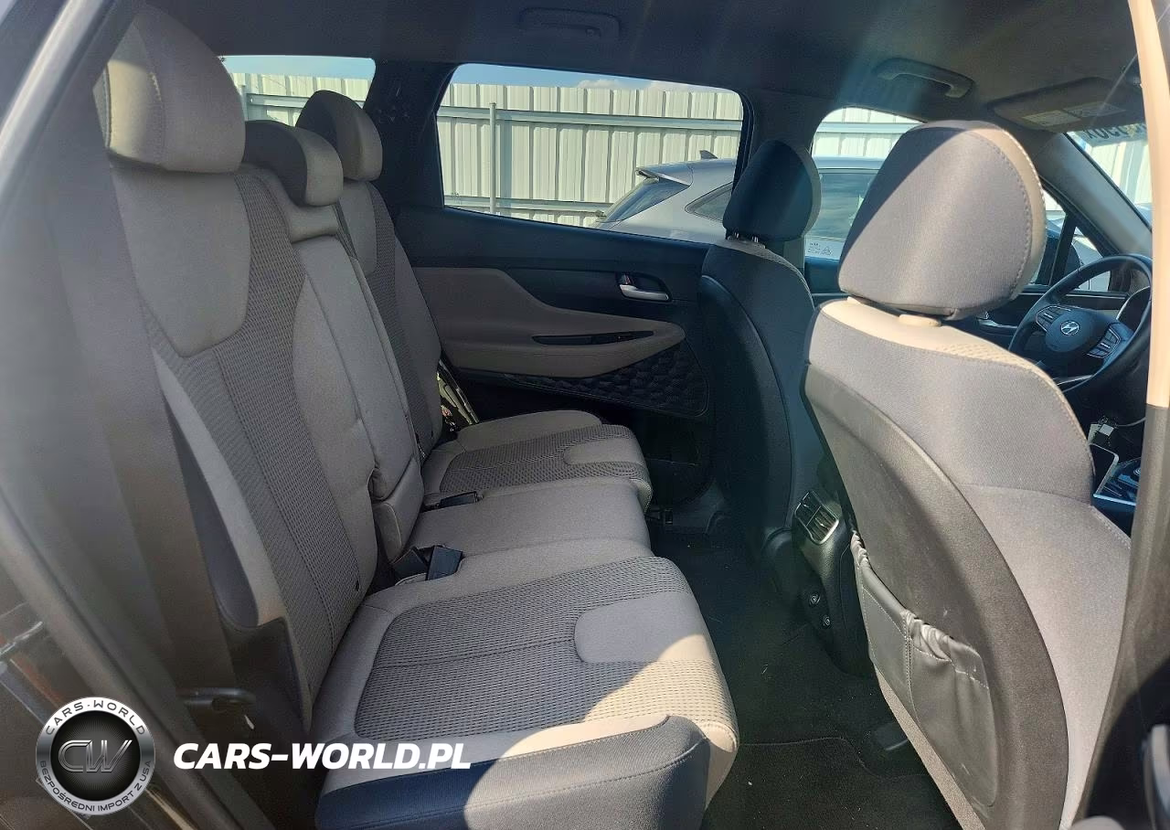 2023 Hyundai Santa Fe Sel VIN:5NMS2DAJ9PH534738 - 10