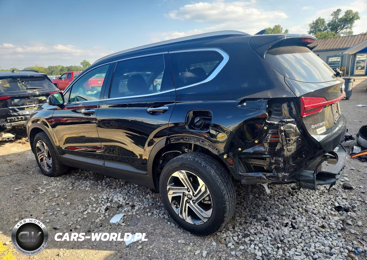 2023 Hyundai Santa Fe Sel VIN:5NMS2DAJ9PH534738 - 2
