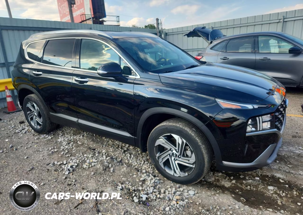 2023 Hyundai Santa Fe Sel VIN:5NMS2DAJ9PH534738 - 4