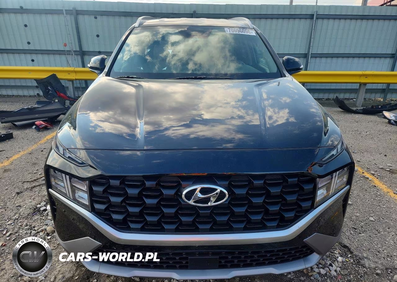 2023 Hyundai Santa Fe Sel VIN:5NMS2DAJ9PH534738 - 5