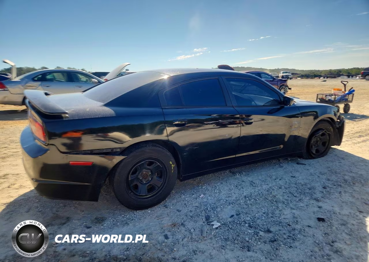 2013 Dodge Charger Police VIN:2C3CDXAG8DH545472 - 3