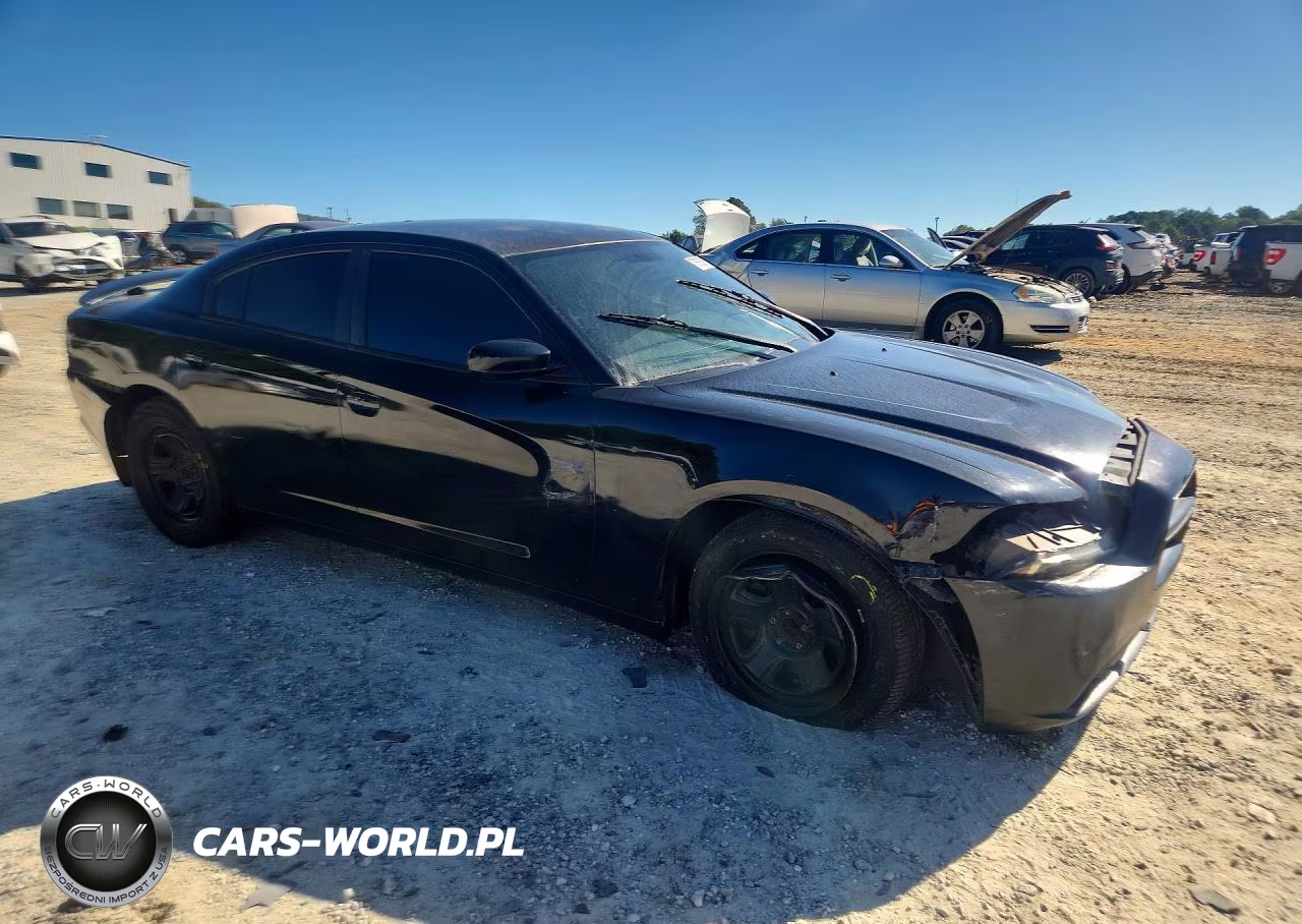 2013 Dodge Charger Police VIN:2C3CDXAG8DH545472 - 4