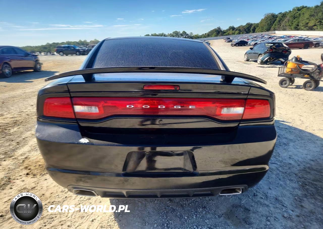 2013 Dodge Charger Police VIN:2C3CDXAG8DH545472 - 6
