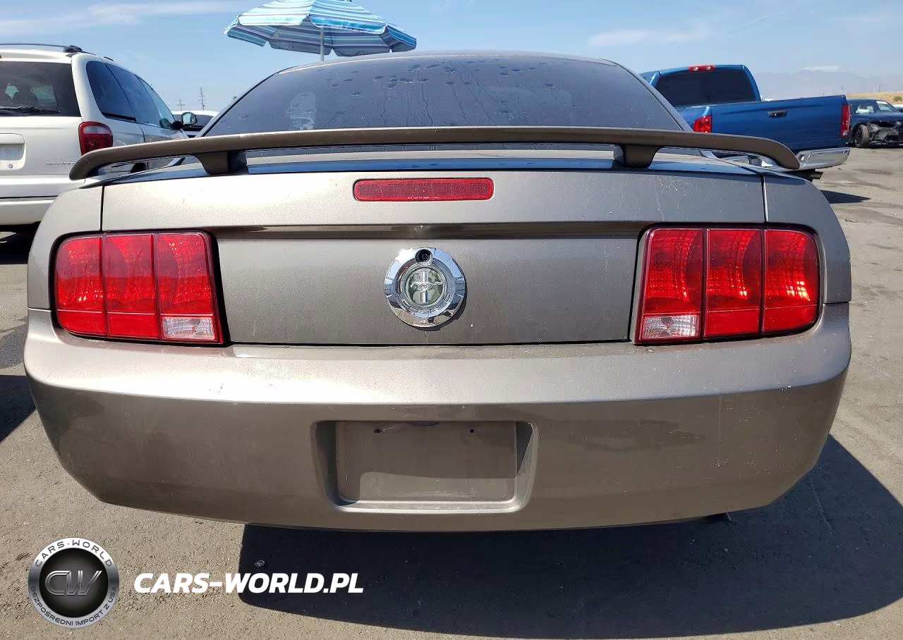 2005 Ford Mustang VIN:1ZVFT80N155140223 - 6