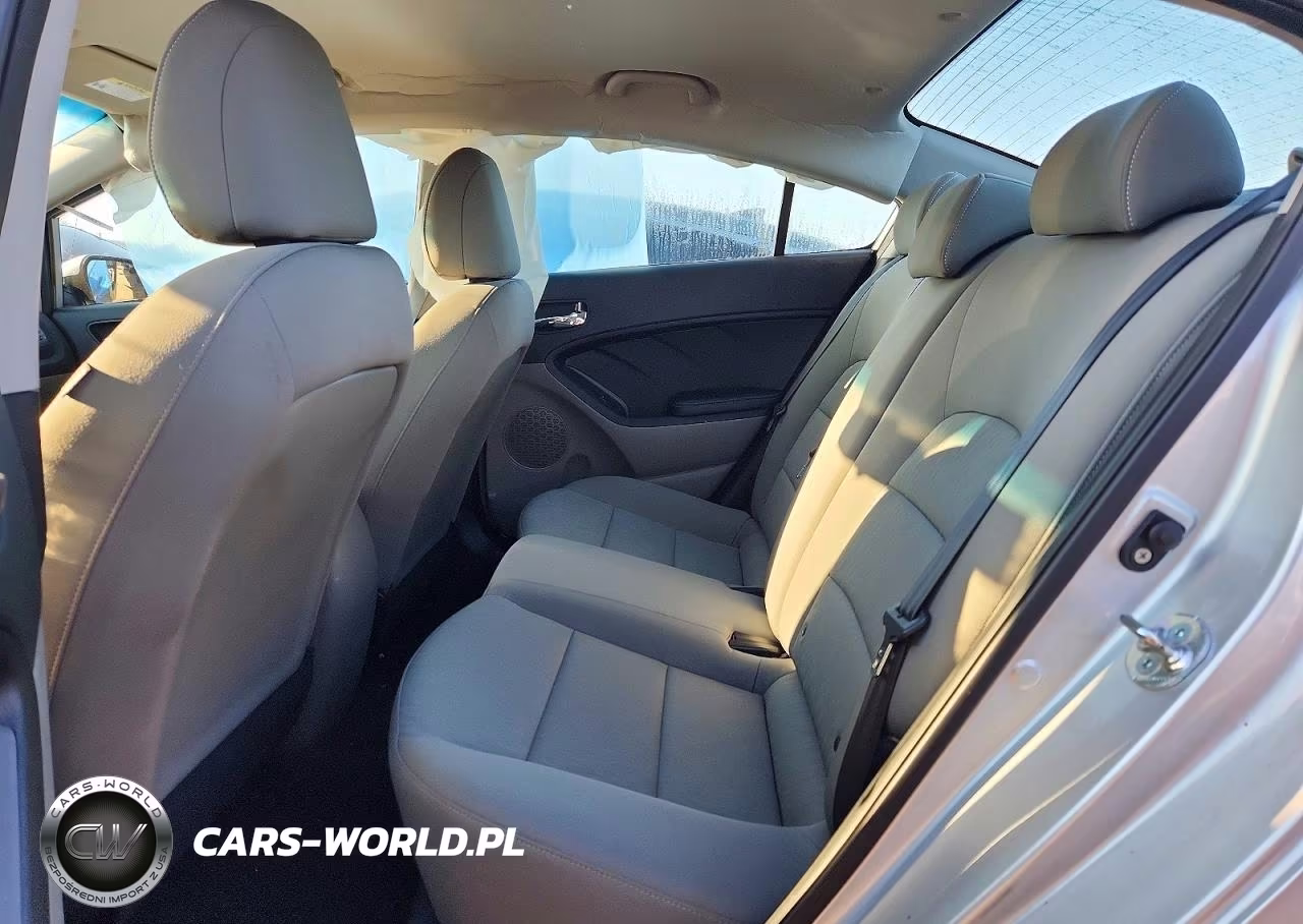 2015 Kia Forte Lx VIN:KNAFK4A69F5283327 - 10