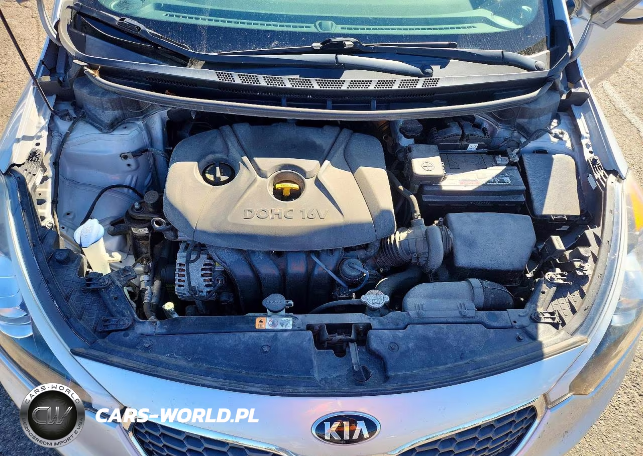 2015 Kia Forte Lx VIN:KNAFK4A69F5283327 - 11