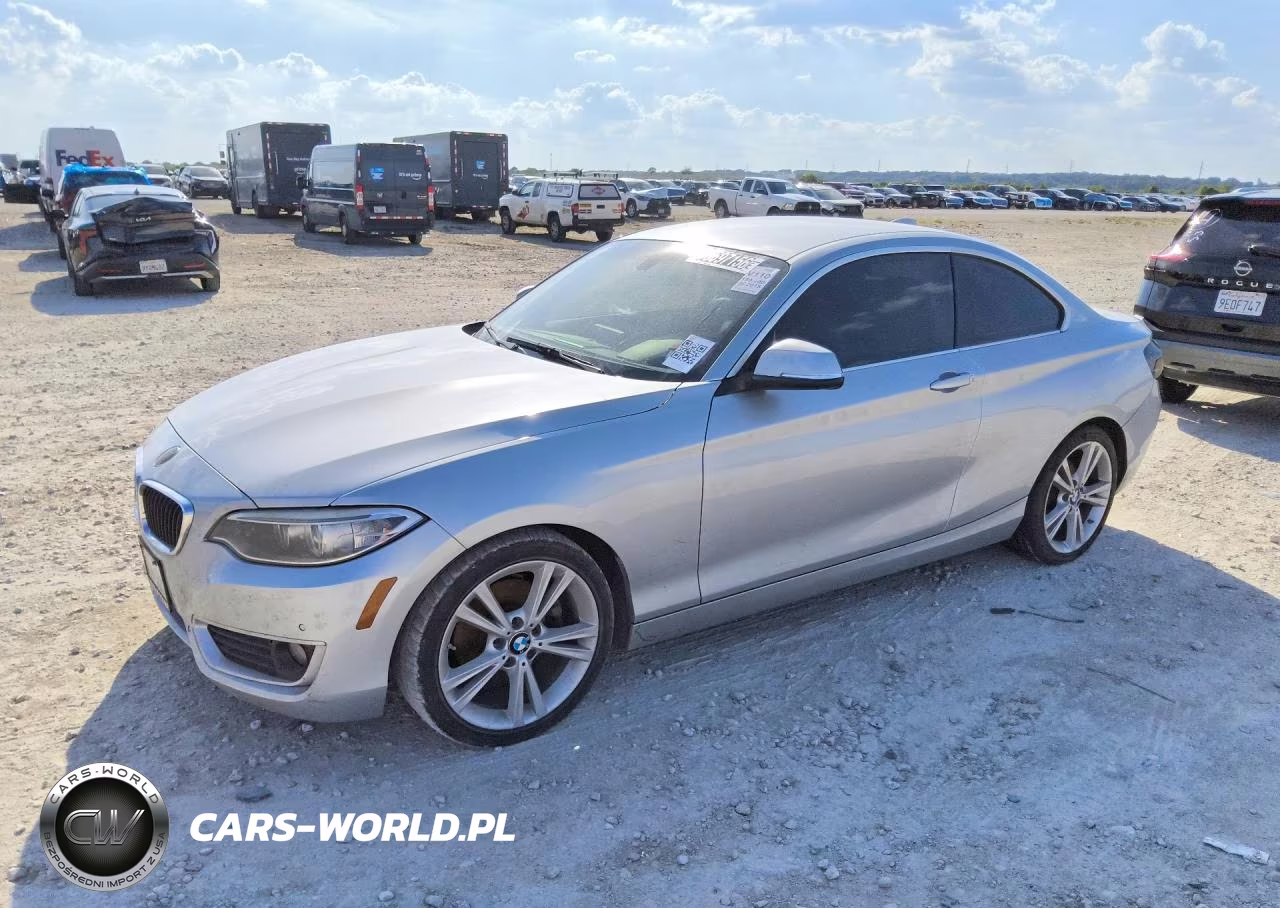 2015 BMW 228 I VIN:WBA1F5C55FV256893 - 1
