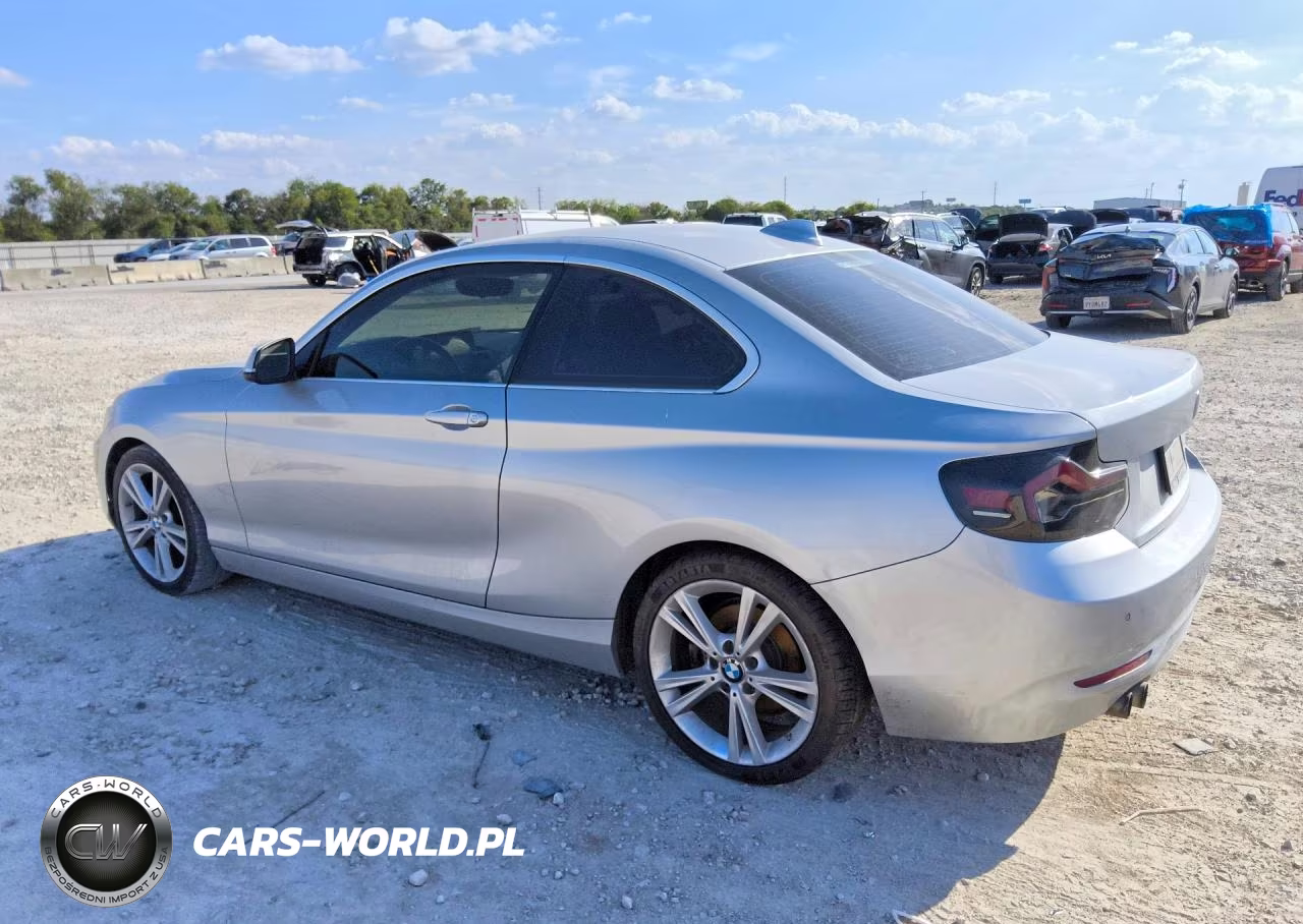 2015 BMW 228 I VIN:WBA1F5C55FV256893 - 2