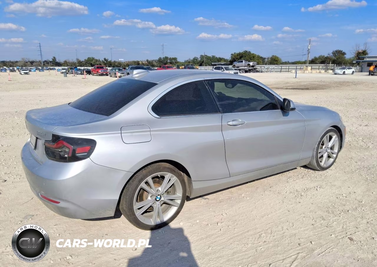 2015 BMW 228 I VIN:WBA1F5C55FV256893 - 3