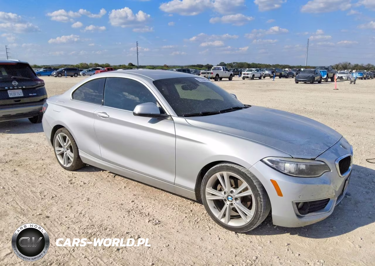 2015 BMW 228 I VIN:WBA1F5C55FV256893 - 4