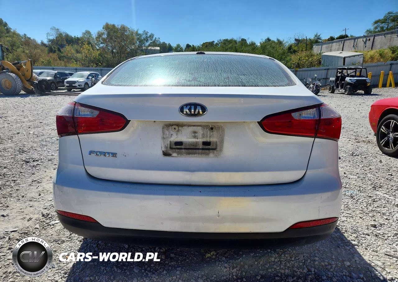 2015 Kia Forte Lx VIN:KNAFX4A67F5399370 - 6