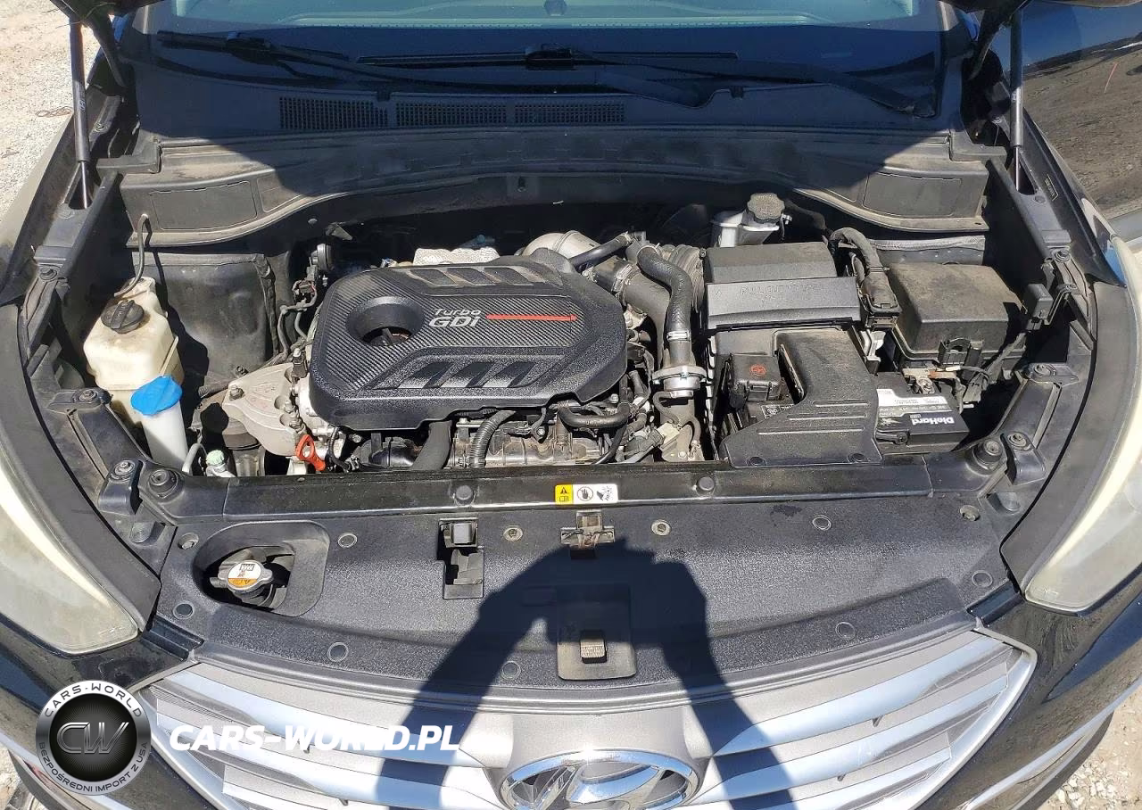 2018 Hyundai Santa Fe Sport 2.0T Ultimate VIN:5NMZW4LA3JH069798 - 12