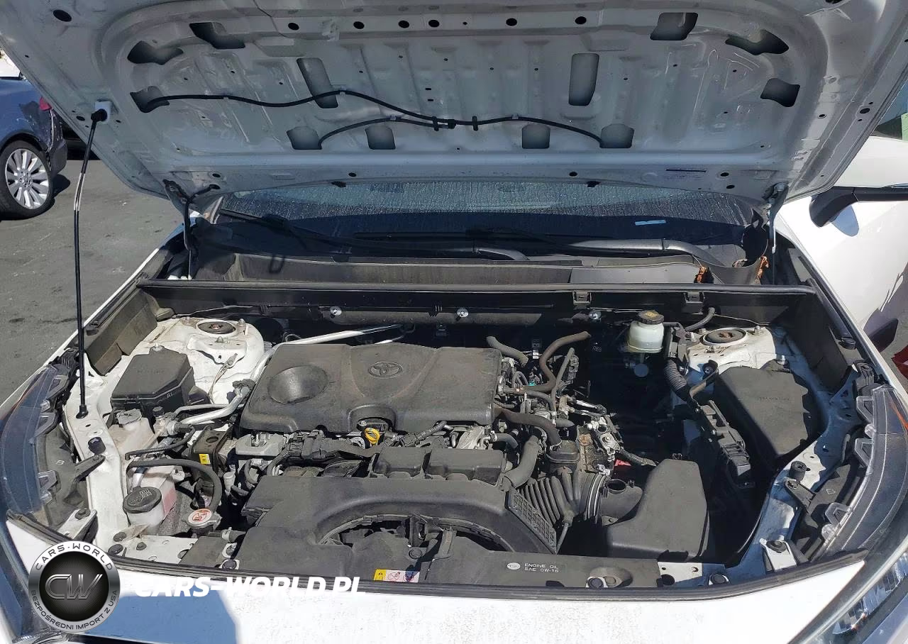 2019 Toyota Rav4 Xle VIN:JTMW1RFV1KD014175 - 12
