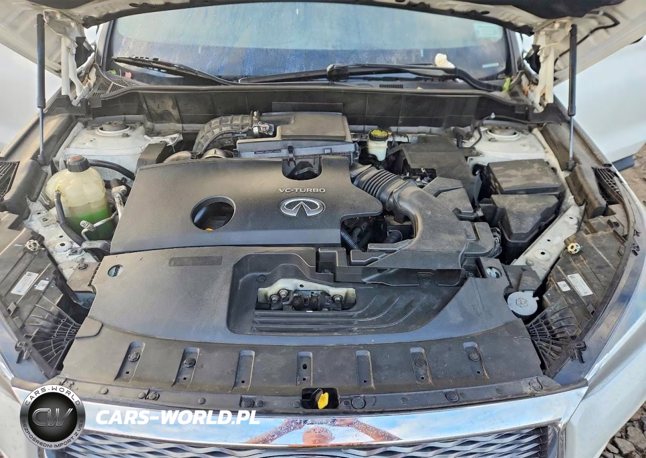 2019 Infiniti Qx50 Luxe VIN:3PCAJ5M18KF135619 - 12