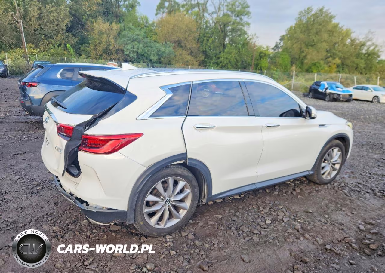 2019 Infiniti Qx50 Luxe VIN:3PCAJ5M18KF135619 - 3