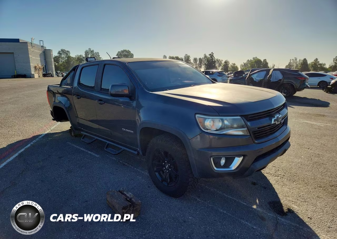 2016 Chevrolet Colorado Z71 VIN:1GCGTDE37G1175477 - 4