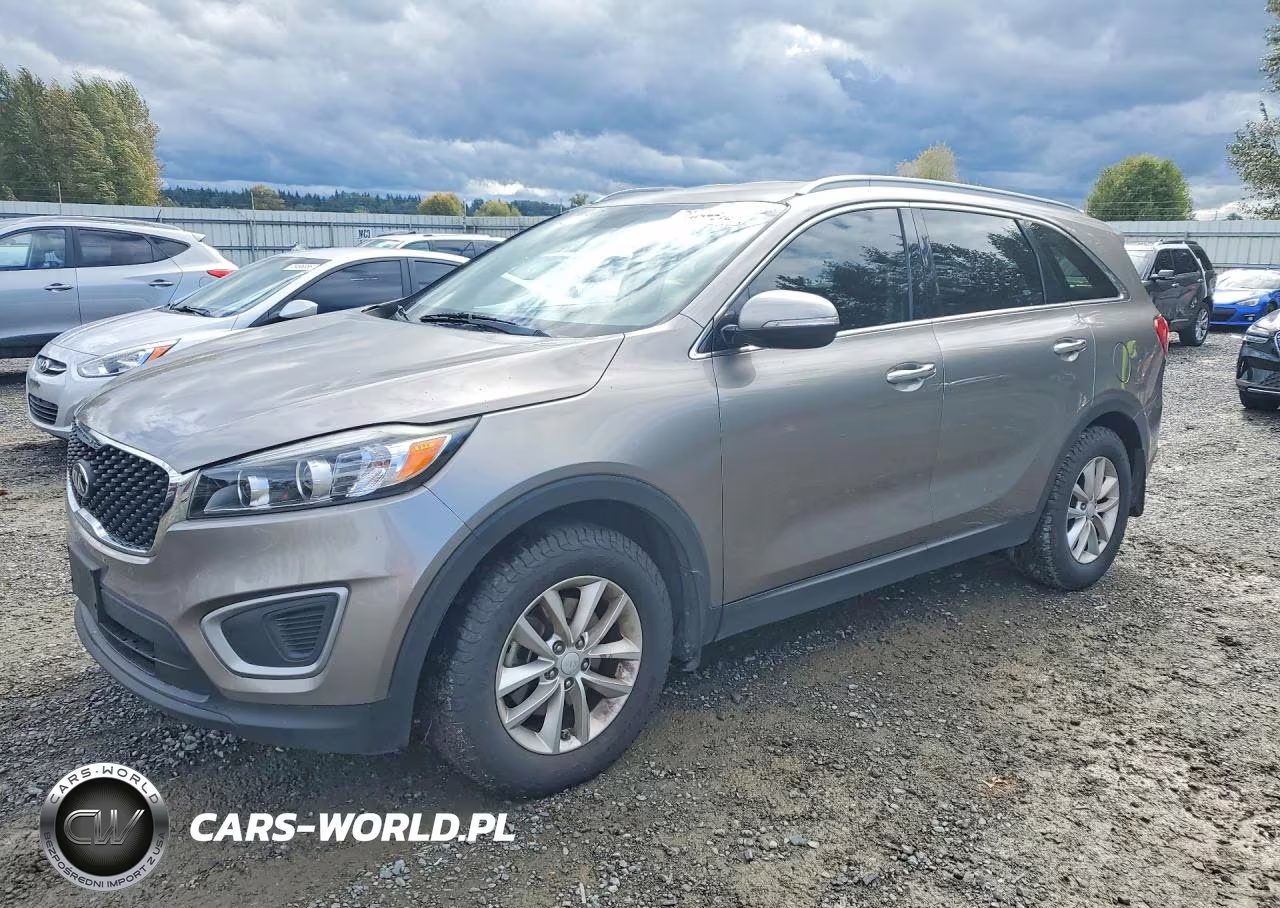 2017 Kia Sorento Lx – zdjęcie 1 z 13