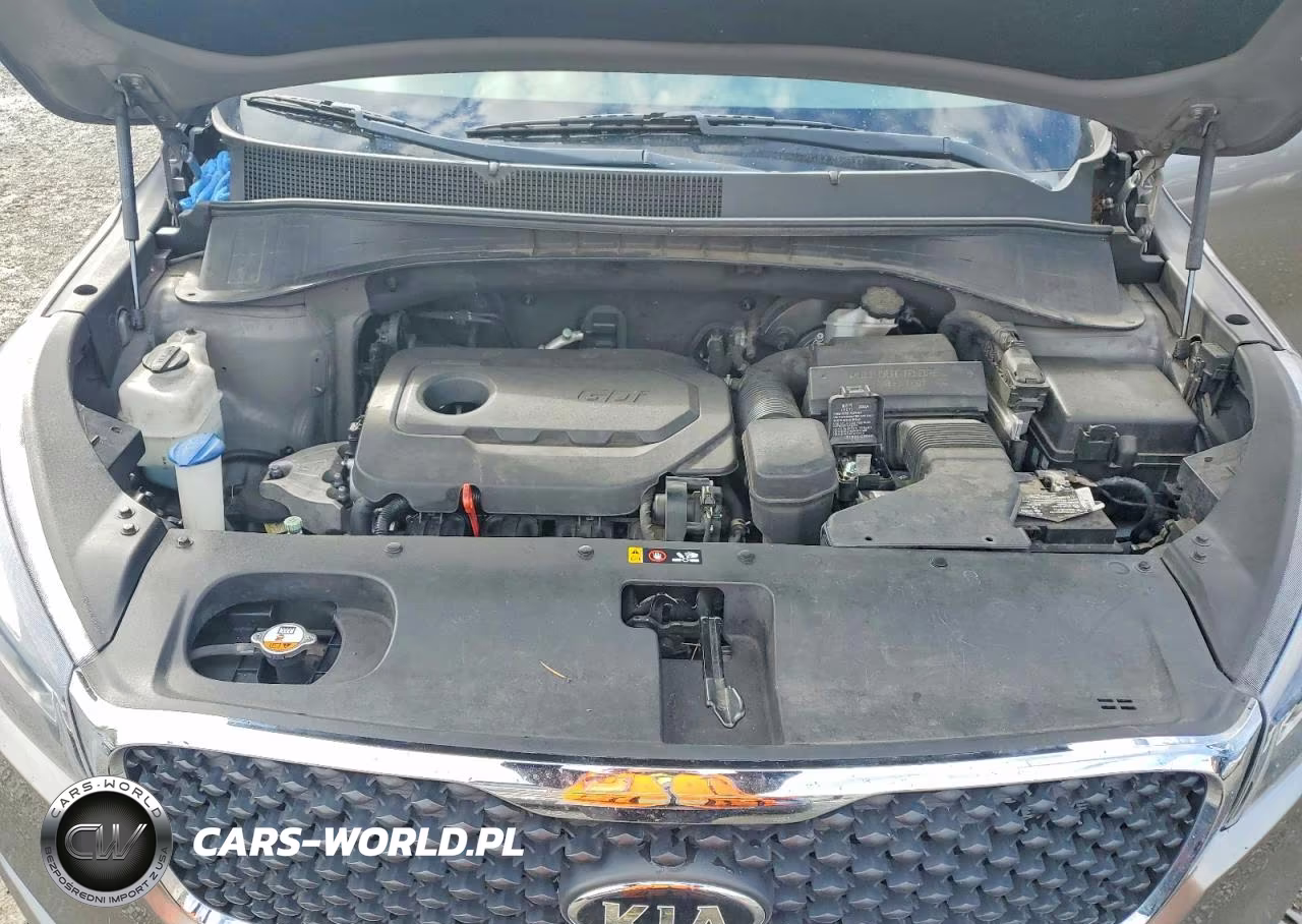 2017 Kia Sorento Lx VIN:5XYPG4A3XHG214445 - 12