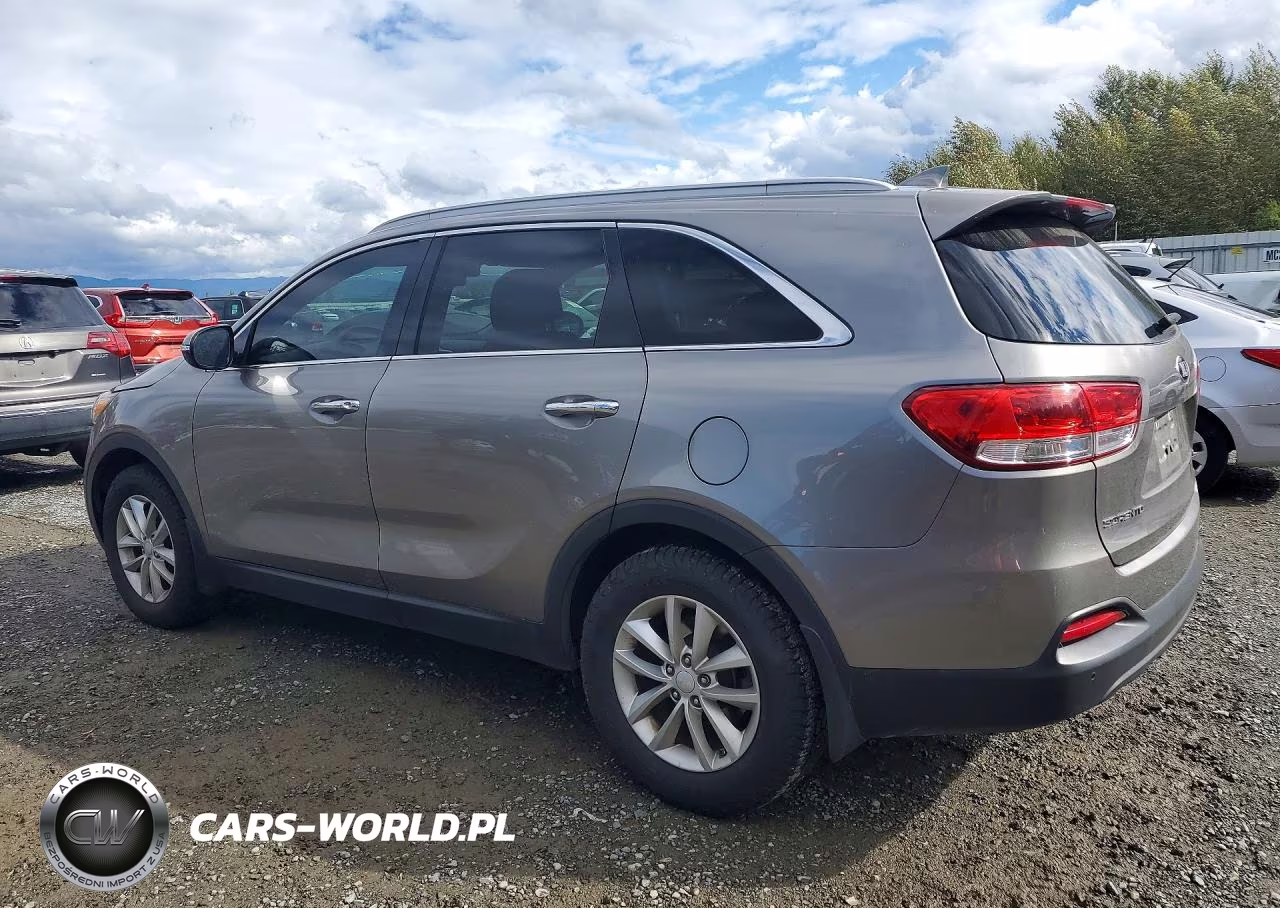 2017 Kia Sorento Lx VIN:5XYPG4A3XHG214445 - 2