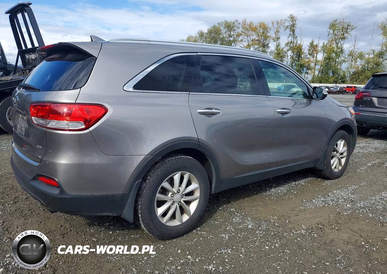 2017 Kia Sorento Lx VIN:5XYPG4A3XHG214445 - 3