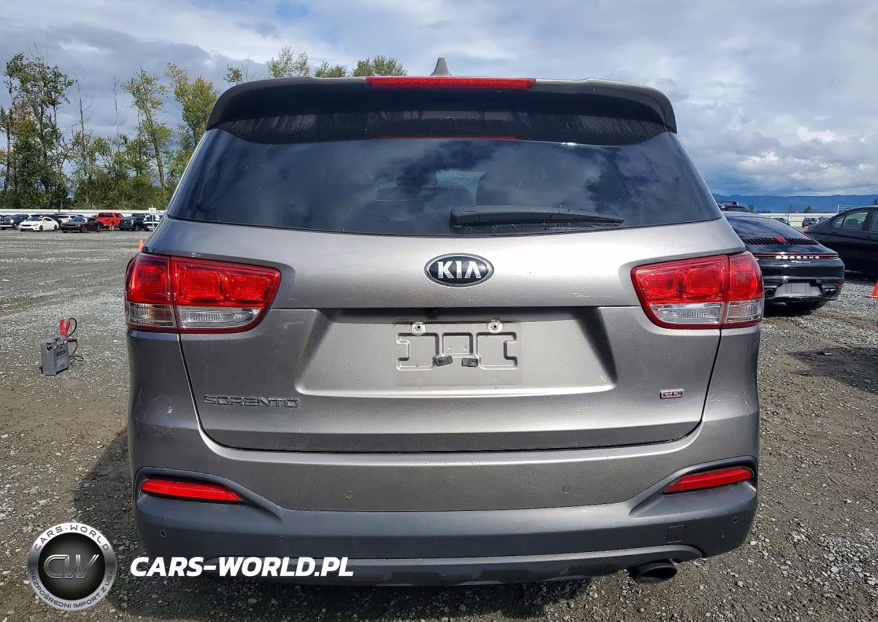 2017 Kia Sorento Lx VIN:5XYPG4A3XHG214445 - 6