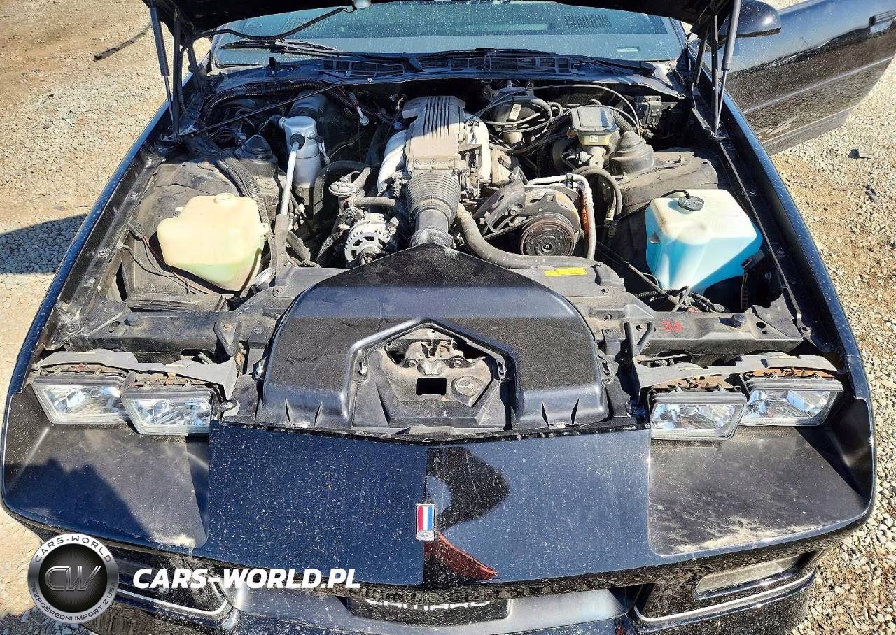 1987 Chevrolet Camaro VIN:1G1FP2181HN170073 - 11