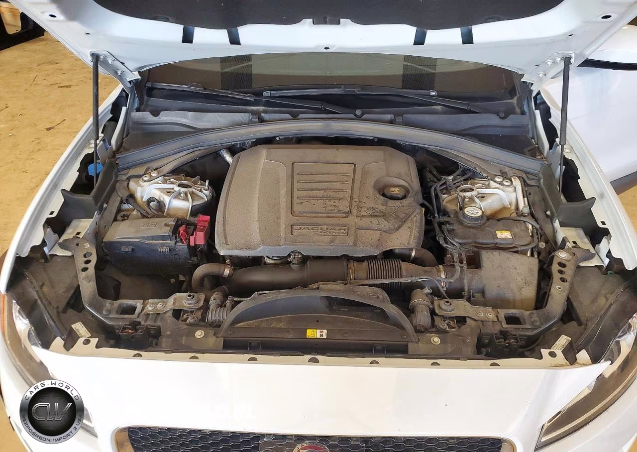 2019 Jaguar F-Pace Premium VIN:SADCJ2FX2KA608002 - 12