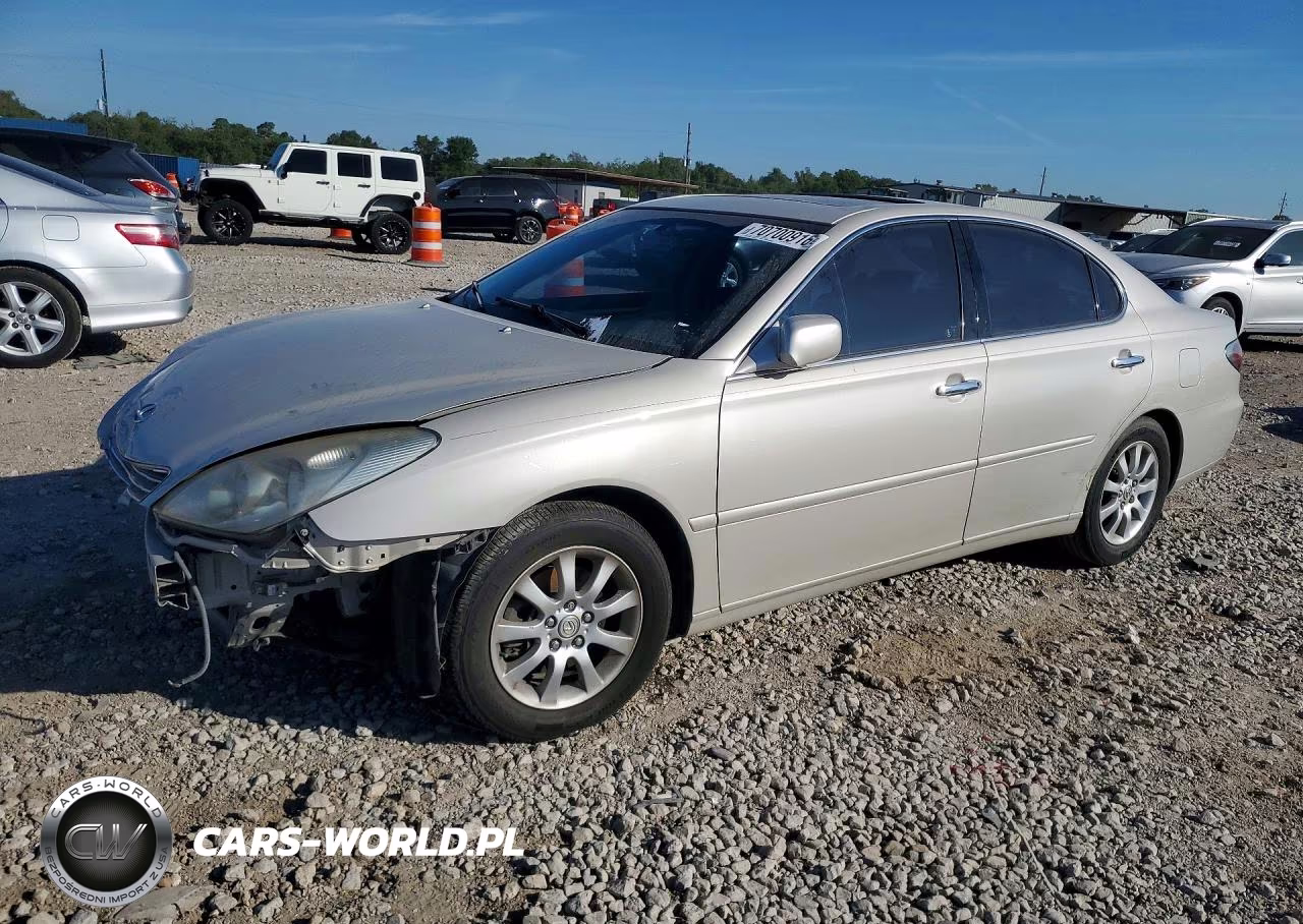 2002 Lexus Es 300 VIN:JTHBF30G820046196 - 1