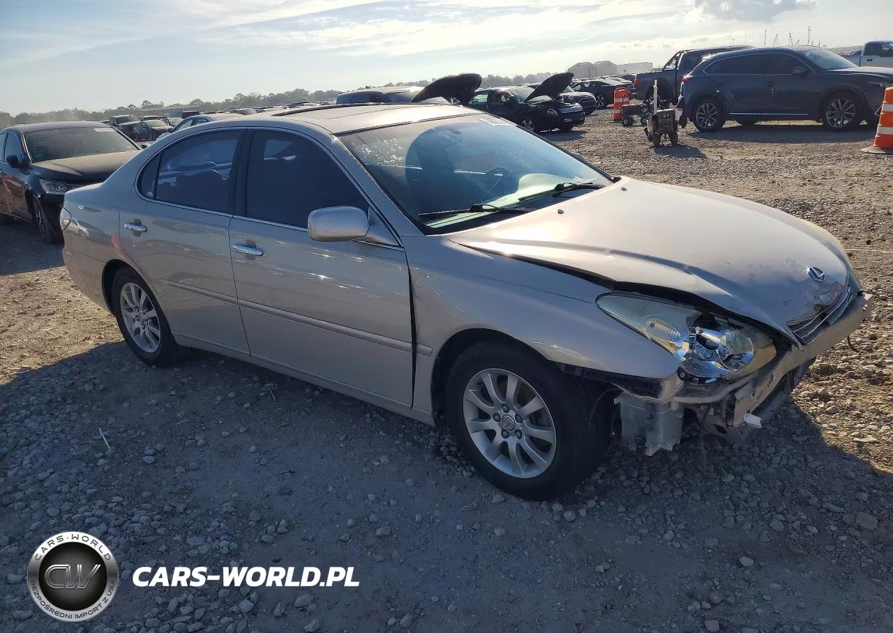 2002 Lexus Es 300 VIN:JTHBF30G820046196 - 4