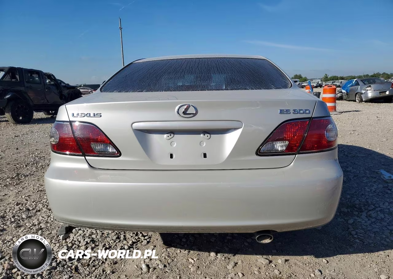 2002 Lexus Es 300 VIN:JTHBF30G820046196 - 6