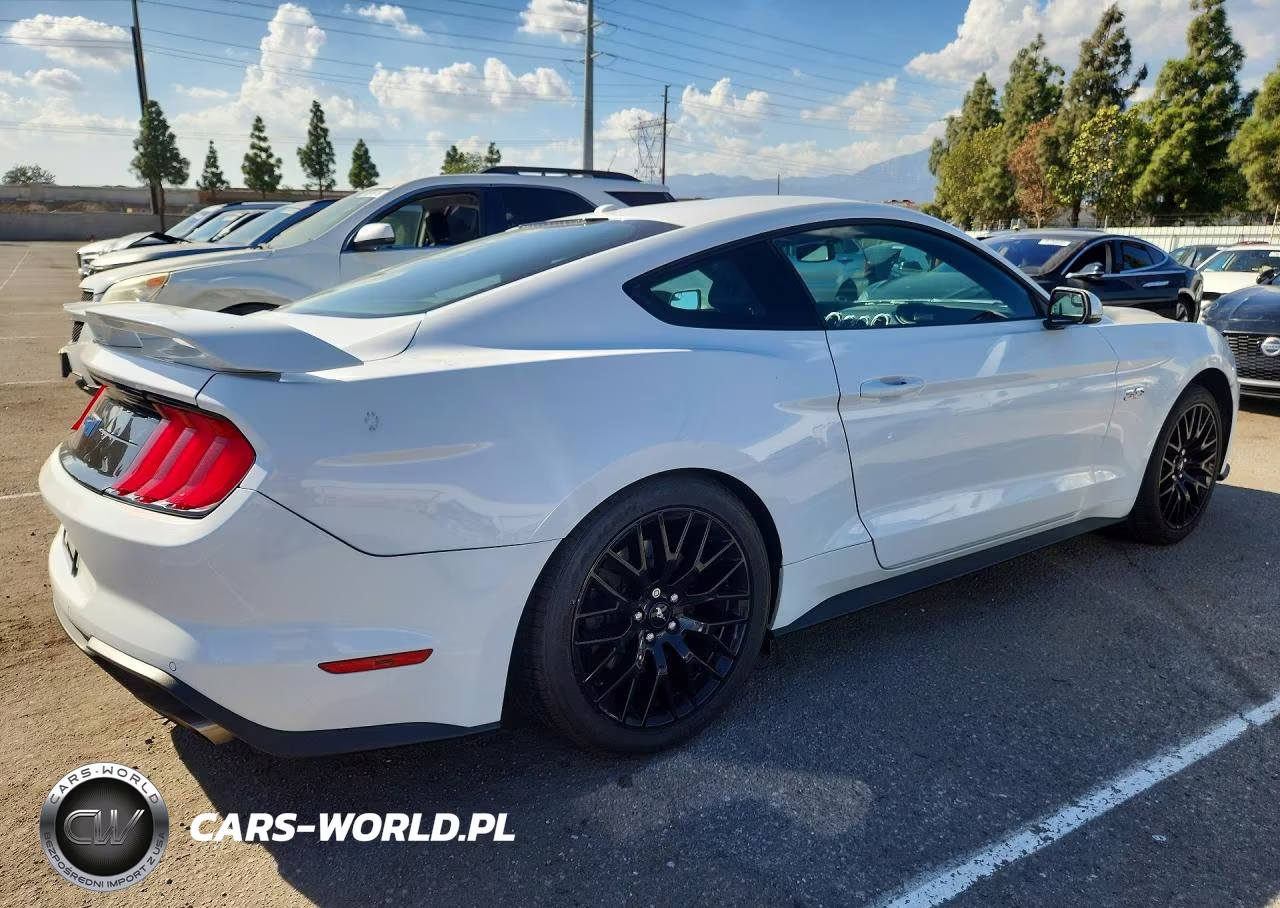 2018 Ford Mustang Gt VIN:1FA6P8CF8J5146726 - 3