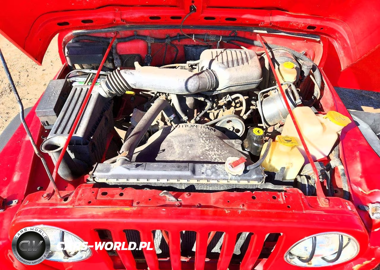 1997 Jeep Wrangler - Tj Se VIN:1J4FY29P4VP412378 - 11
