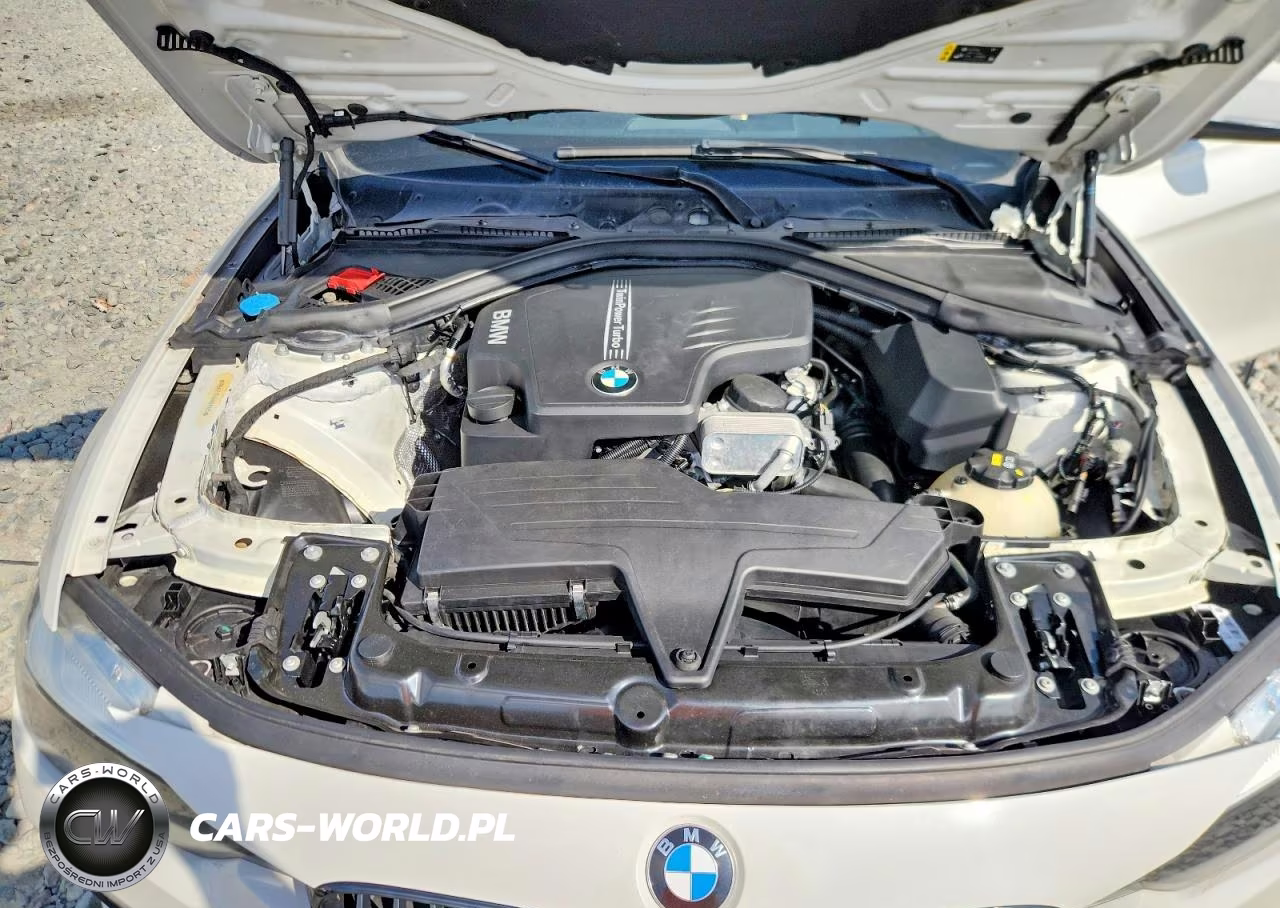 2017 BMW 320 I VIN:WBA8E1G59HNU14689 - 11