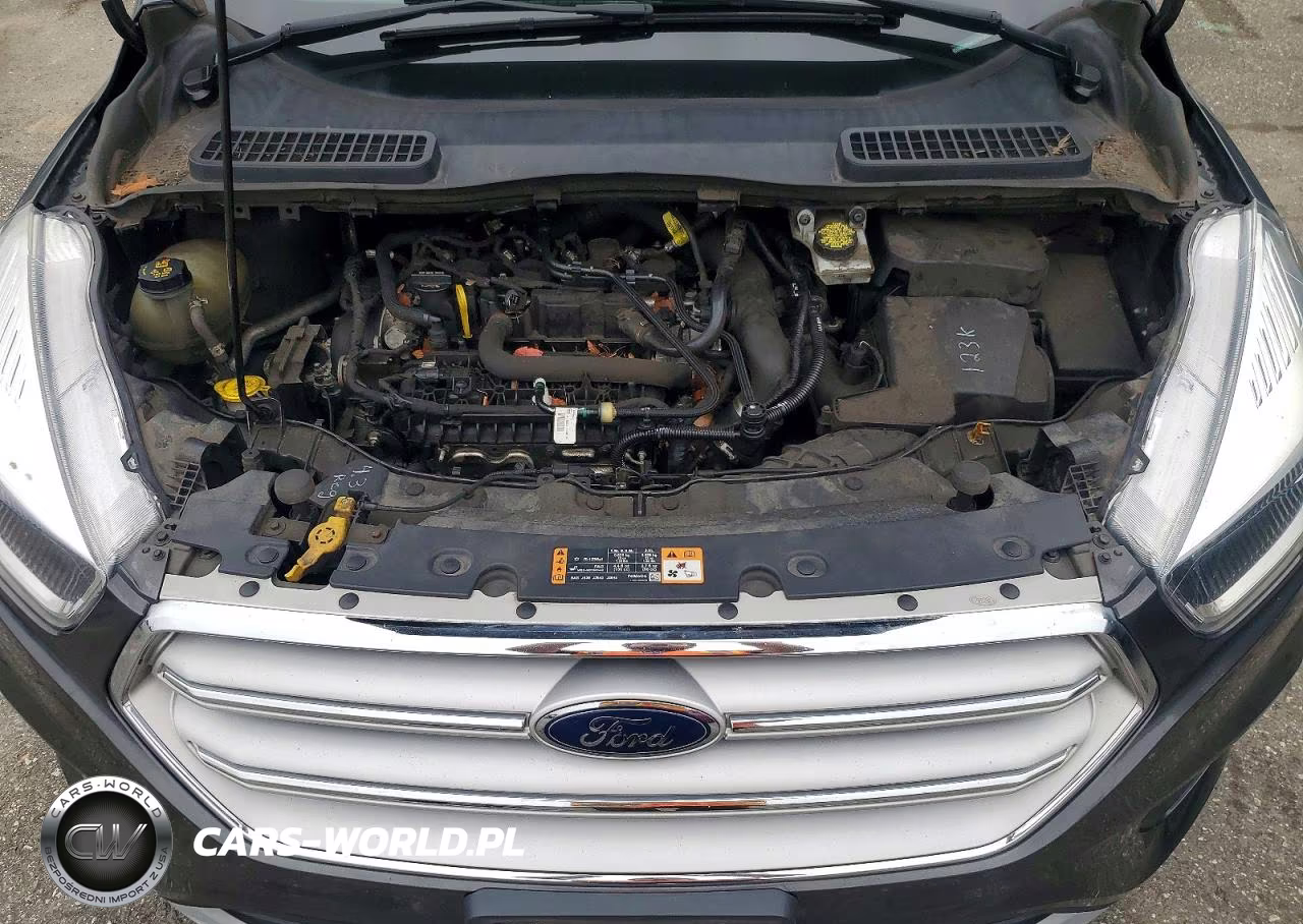 2019 Ford Escape Se VIN:1FMCU0GD5KUB11578 - 12