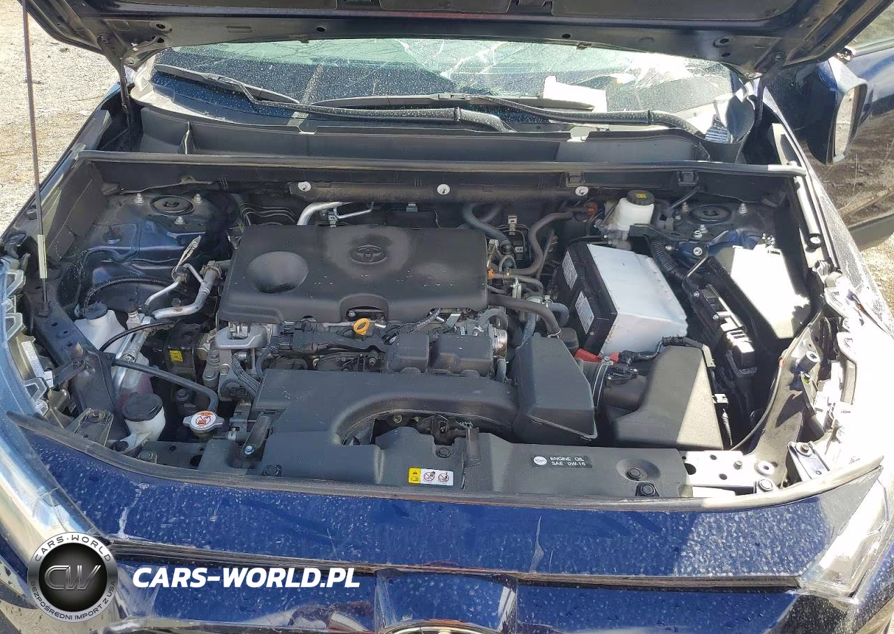 2025 Toyota Rav4 Xle VIN:2T3P1RFV1SW515106 - 12