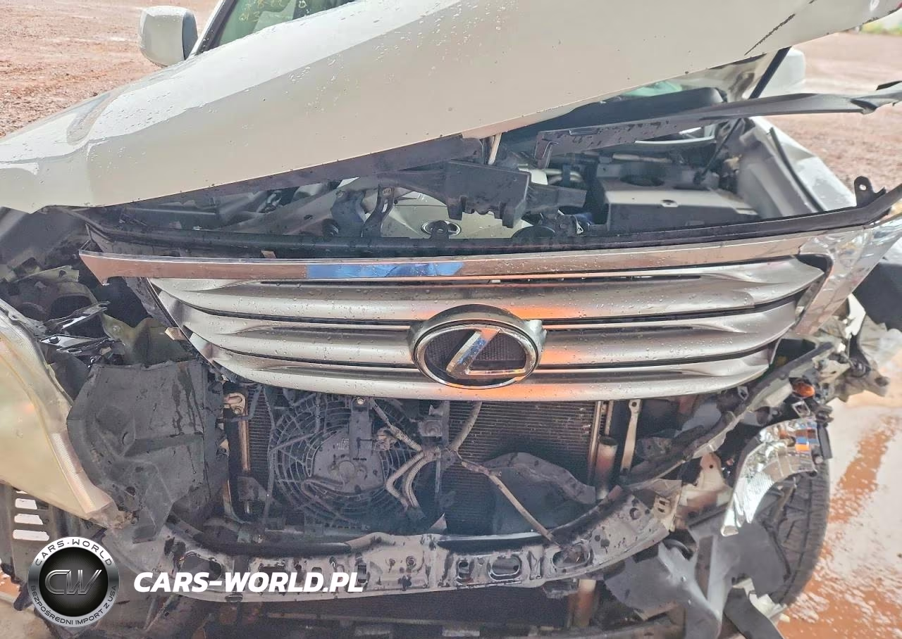 2010 Lexus Gx 460 Premium VIN:JTJJM7FX9A5013532 - 12