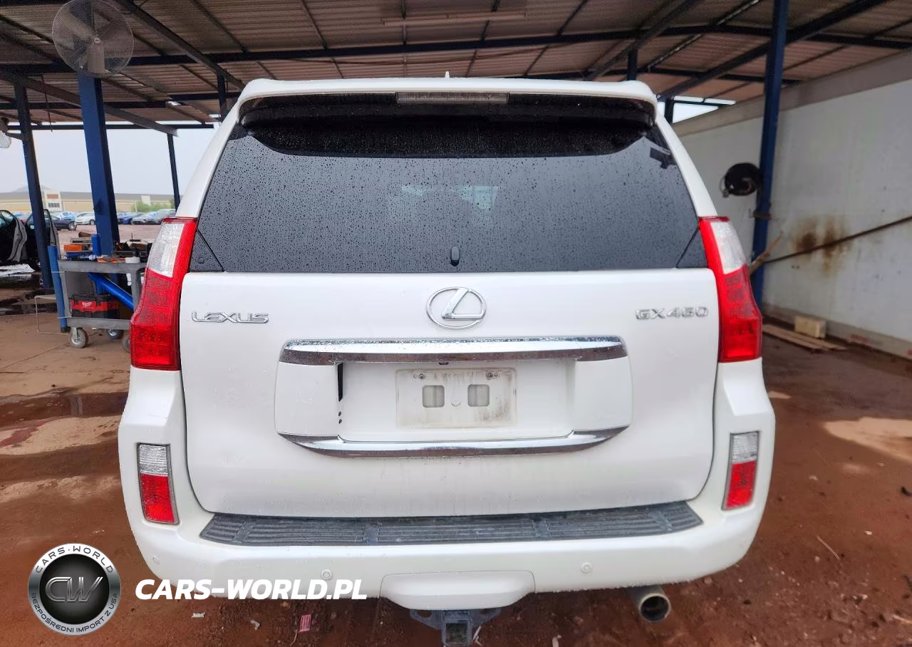 2010 Lexus Gx 460 Premium VIN:JTJJM7FX9A5013532 - 6