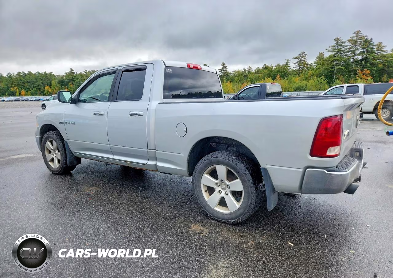 2009 Dodge Ram 1500 VIN:1D3HV18T19S799577 - 2