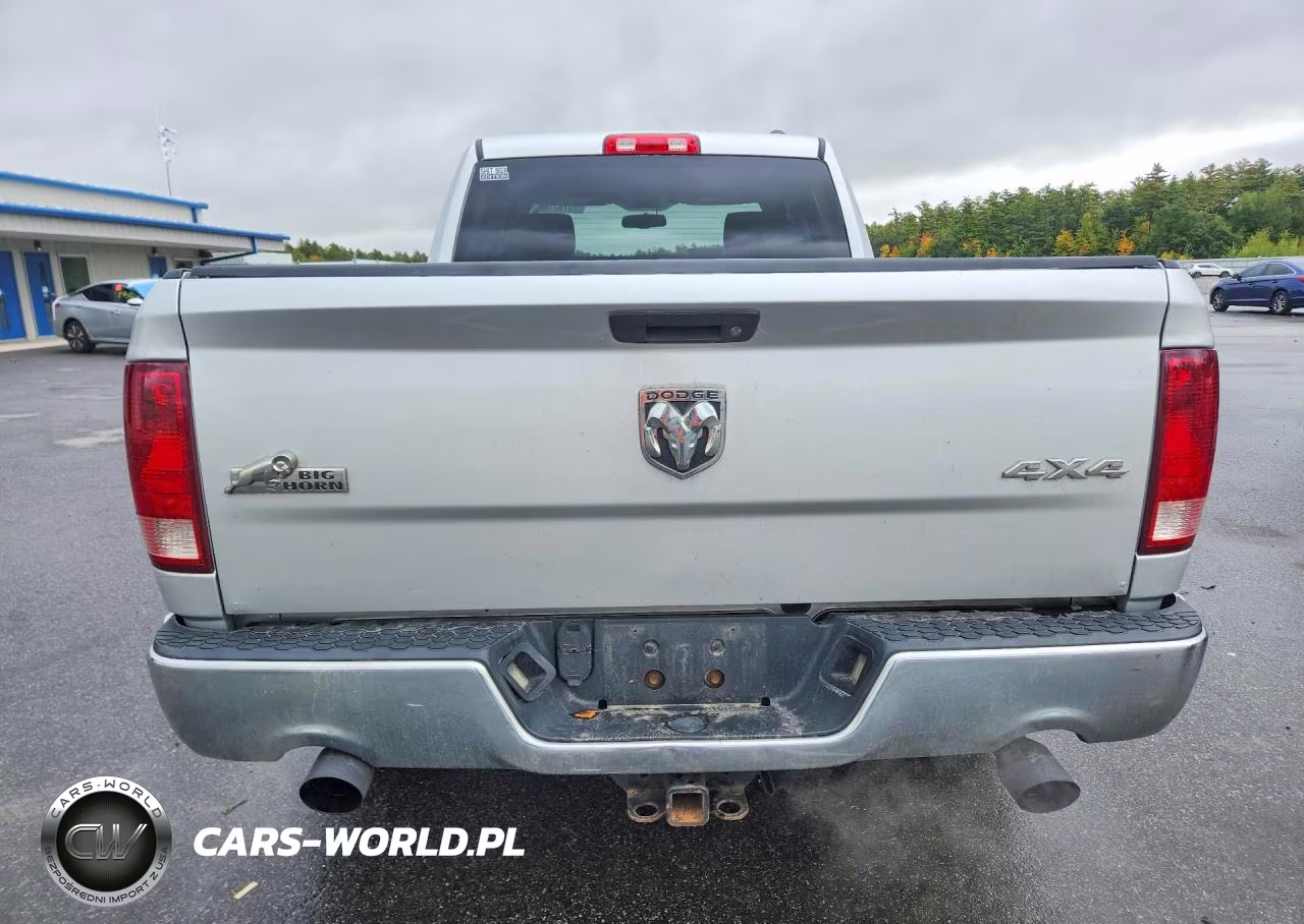 2009 Dodge Ram 1500 VIN:1D3HV18T19S799577 - 6