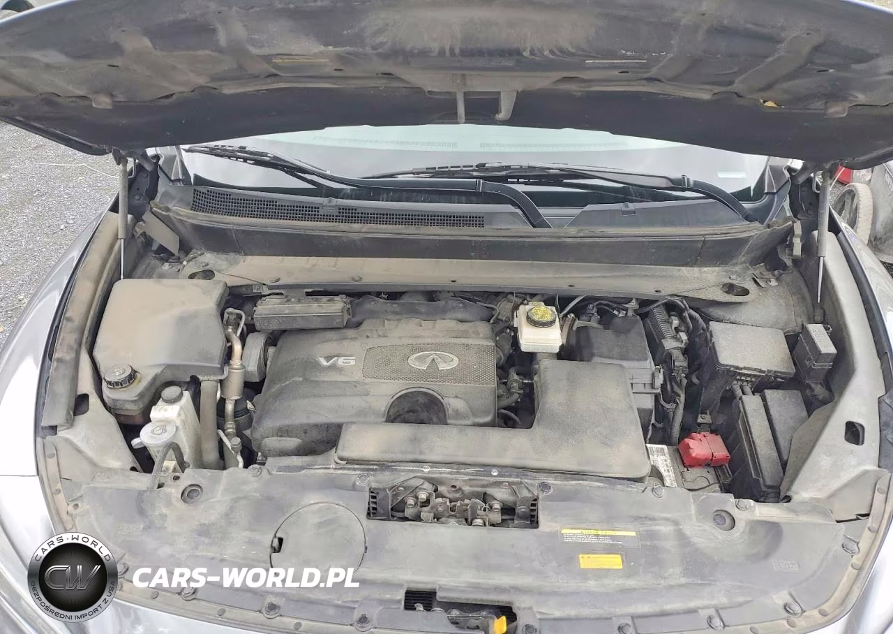 2019 Infiniti Qx60 Pure VIN:5N1DL0MM2KC559133 - 12