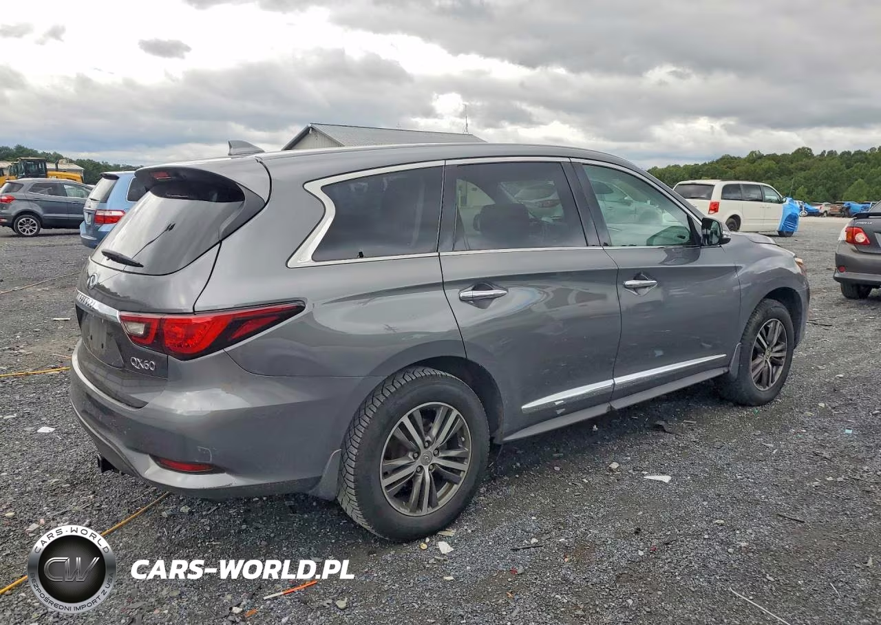2019 Infiniti Qx60 Pure VIN:5N1DL0MM2KC559133 - 3